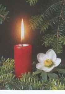 Kerze-Advent